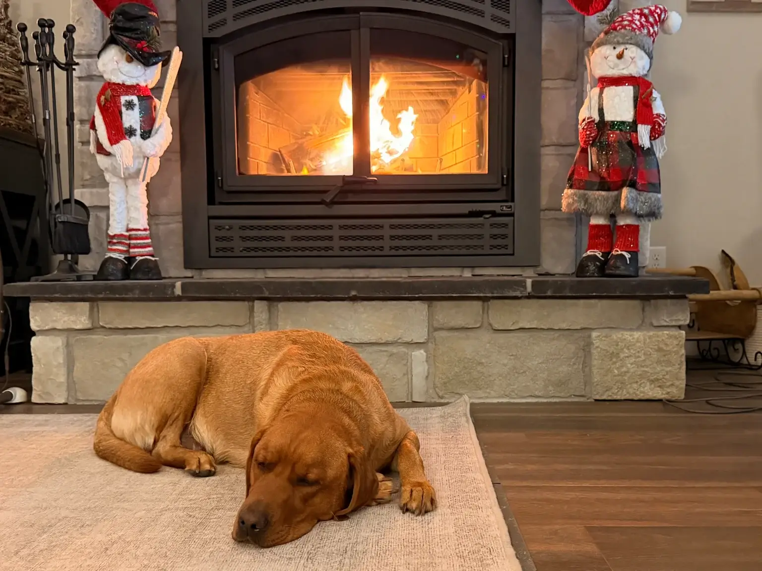 A brown dog sleeps on a rug in front of a stone fireplace with a fire burning inside. On either side of the fireplace are festive holiday decorations shaped like toy soldiers.